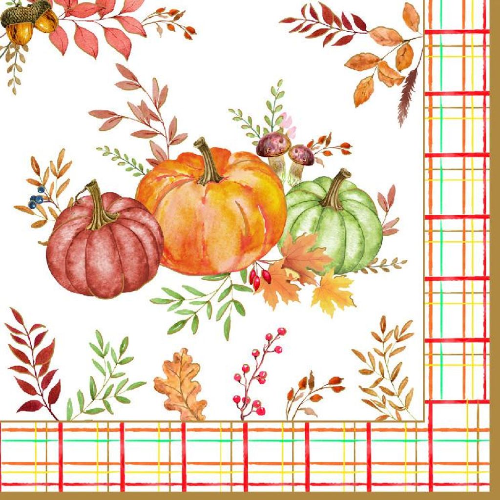 20 Servietten Harvest - Kürbisse an Herbstbordüre 33x33cm