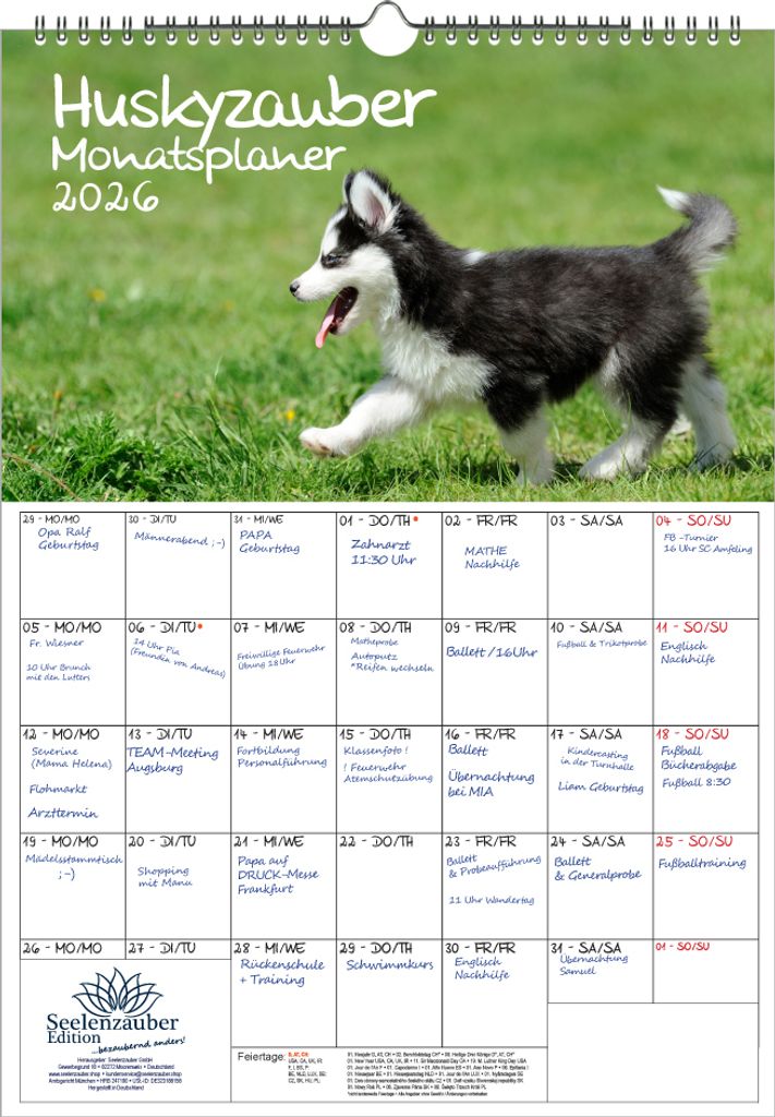 Huskyzauber Planer DIN A3 Kalender für 2026 Welpen und Hunde - Seelenzauber