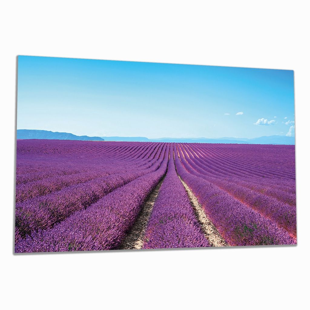 Wallario Herdabdeckplatte aus Glas, Größe 90 x 52 cm 1-teilig, Motiv Lavendelfeld unter blauem Himmel
