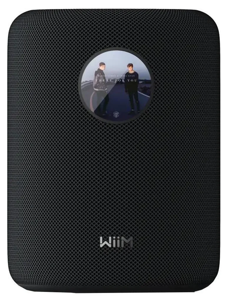WiiM Sound noir streamer audio pour écouter Spotify et Tidal - 2