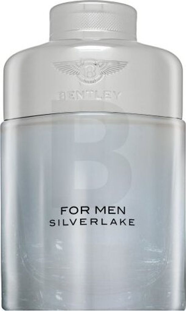 Bentley Silverlake Eau de Parfum für Herren 100 ml