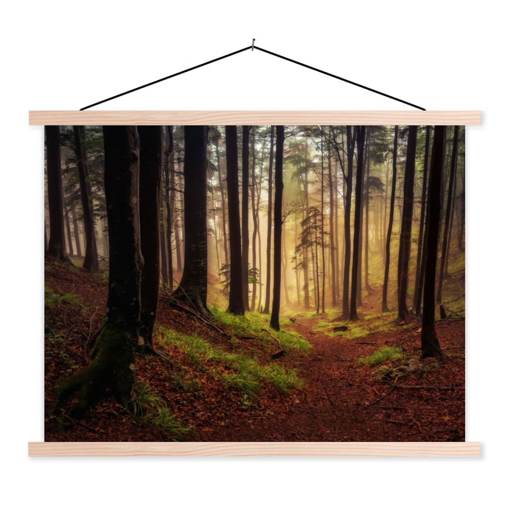 MuchoWow Textilposter Bäume - Natur - Wald 40x30 cm mit holzfarbenen Rahmen - Bilder