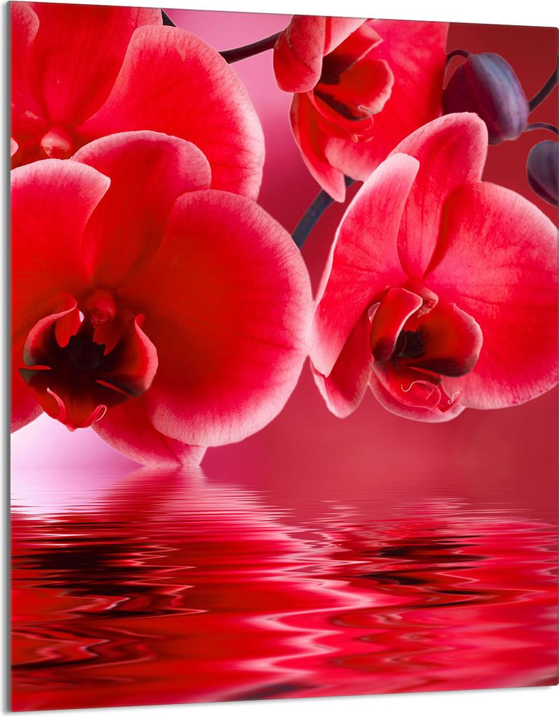 Glasschneidebrett 40x52 Orchidee