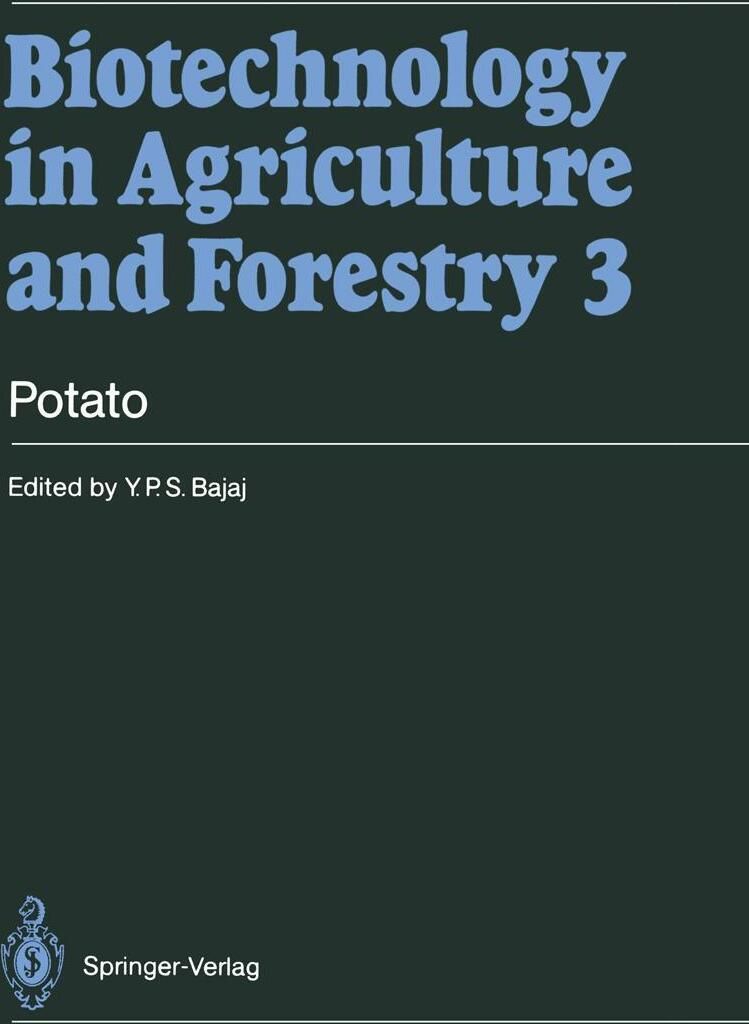 Potato
