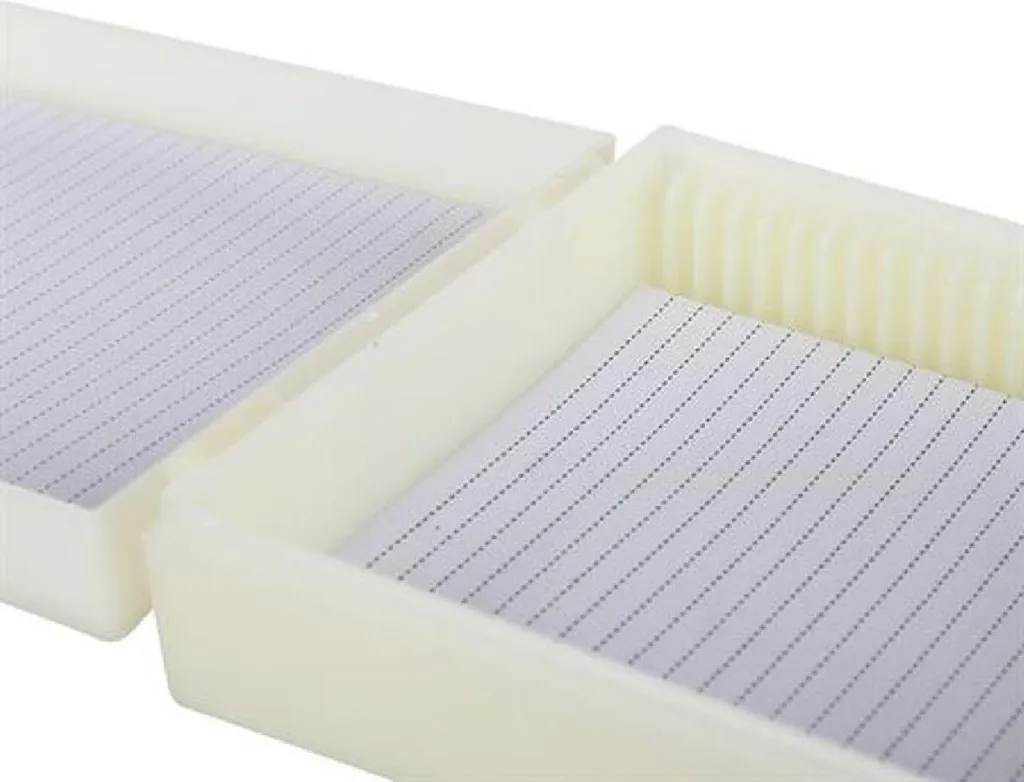 Byomic Boîte de Rangement pour 25 Lames de Microscope Préparées - 4