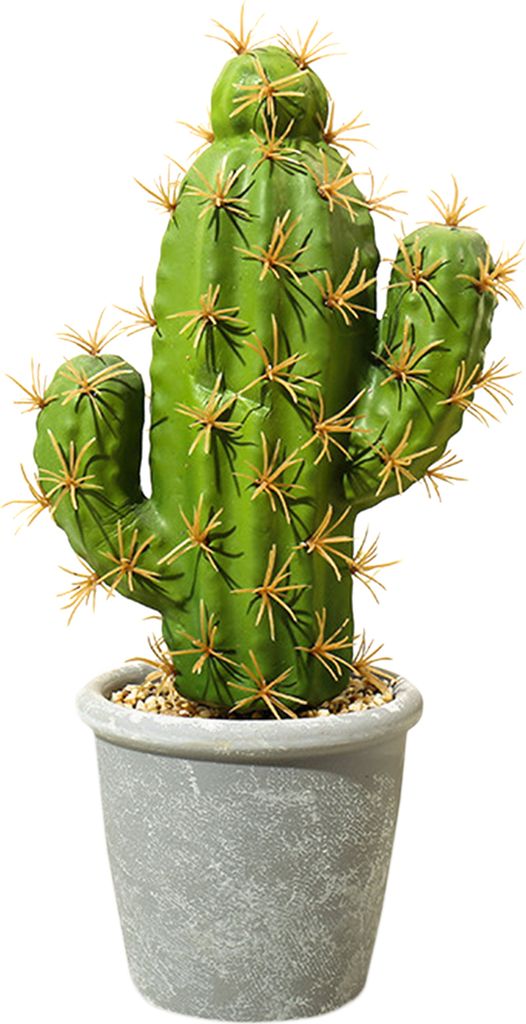 gefälschte Pflanzen dekorative schöne realistische Topfpflanzen Gefälschte Desktop Kaktuslandschaftsdekor für Zuhause-2