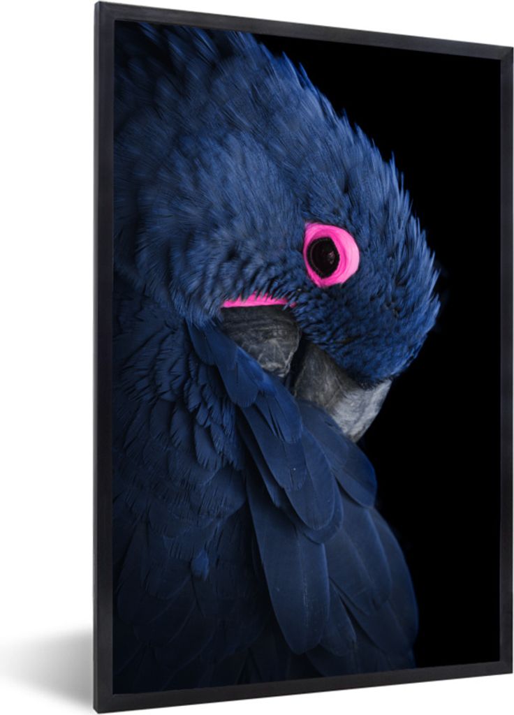 MuchoWow Gerahmtes Poster Papagei - Vogel - Blau 20x30 cm - Poster mit Schwarzem Bilderrahmen Wandposter Rahmen Foto Bilder - Drucken - Bilder Po...
