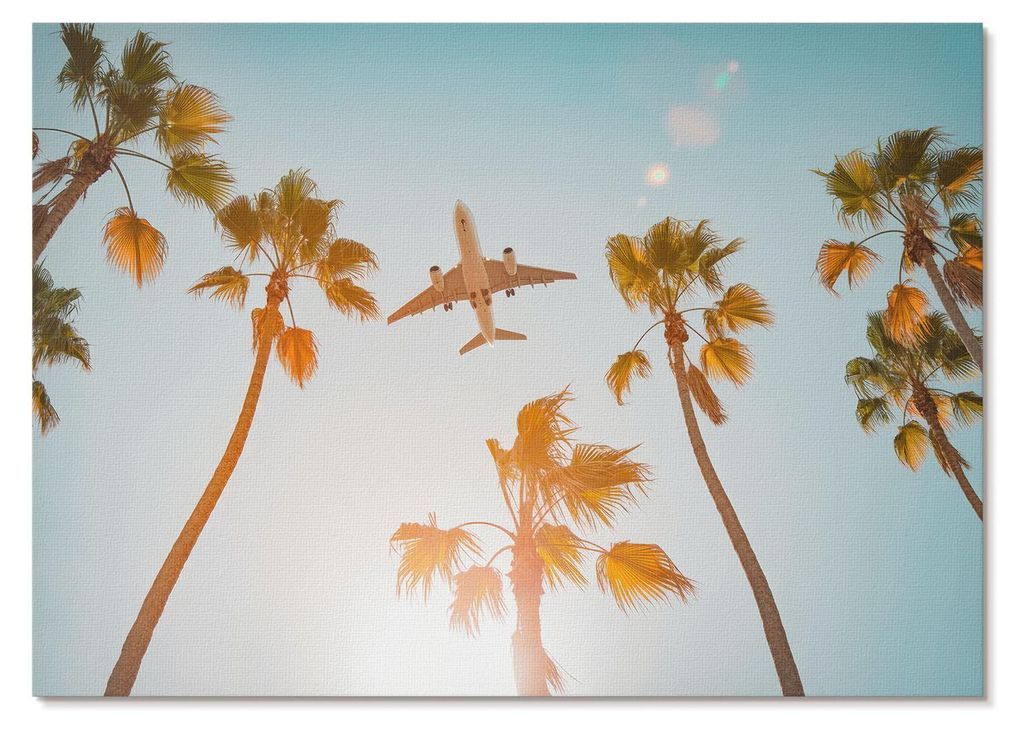 POSTER - 59x42 cm (A2) - Hidden Frame - Flugzeug, Palmen, blauer Himmel, tropisches Klima - Wandbild für Wohnzimmer Schlafzimmer & Flur, Modernes ...
