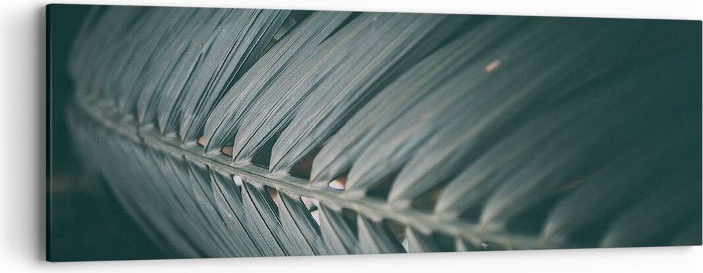 Bild auf Leinwand - Leinwandbild - Einteilig - Blatt Palme exotisch - 90x30cm - Wand Bild - Wanddeko - Wandbilder - Leinwanddruck - Bilder - Wandde...