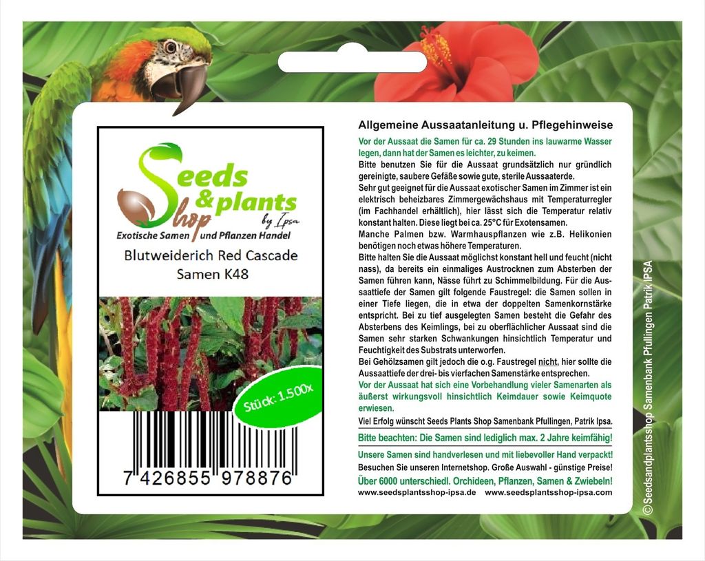 1500x Blutweiderich Red Cascade-Fuchsschwanz Samen Garten Pflanze Blumen K48