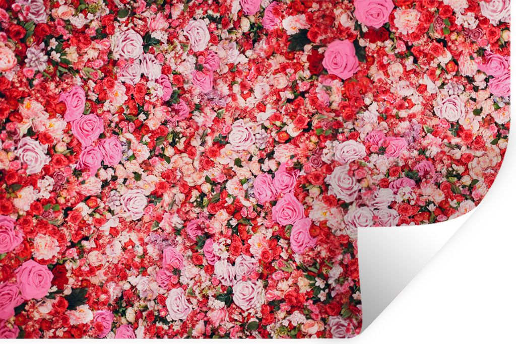 MuchoWow Wandtattoo Wandsticker Wandaufkleber Blumen - Farben - Rosen 90x60 cm Selbstklebend und Repositionierbar - Aufkleber