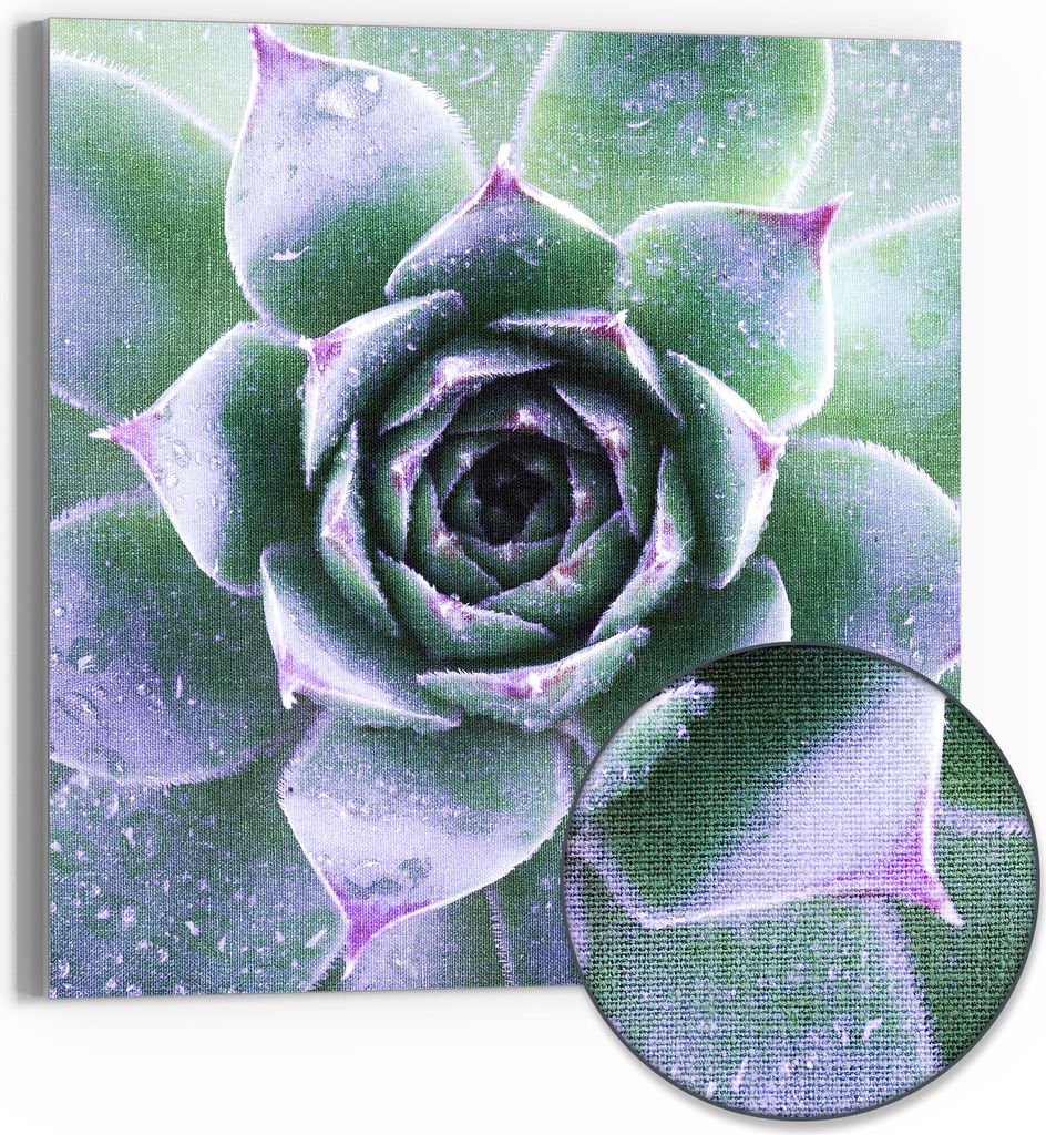 DEQORI Hybrid Leinwand Bild 50x50 cm 'Taufrische Symmetrie' Wandbild Glas flach modern