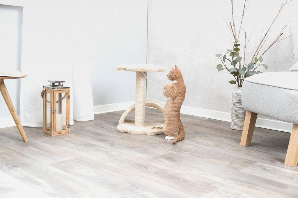 Kratzbaum Vitoria 43 cm in beige/natur – kleiner Katzenbaum für junge & kleine Katzen mit gemütlicher Liegefläche, komfortabel & stabil – 43751