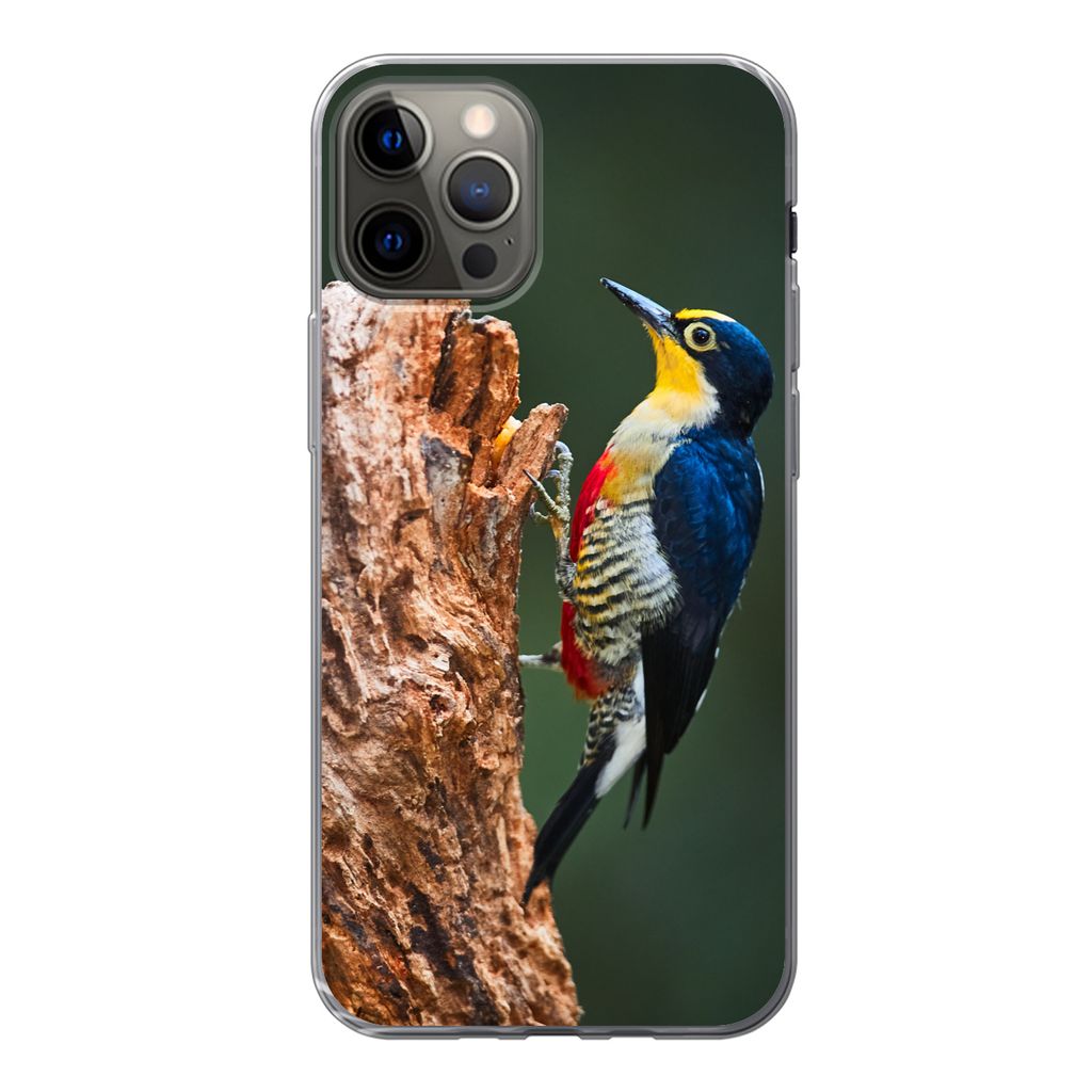 MuchoWow Handyhülle Schutzhülle Hülle für iPhone 12 Pro Nahaufnahme eines bunten Vogels auf der Seite eines Baumstamms Silikon Softcase Handy...