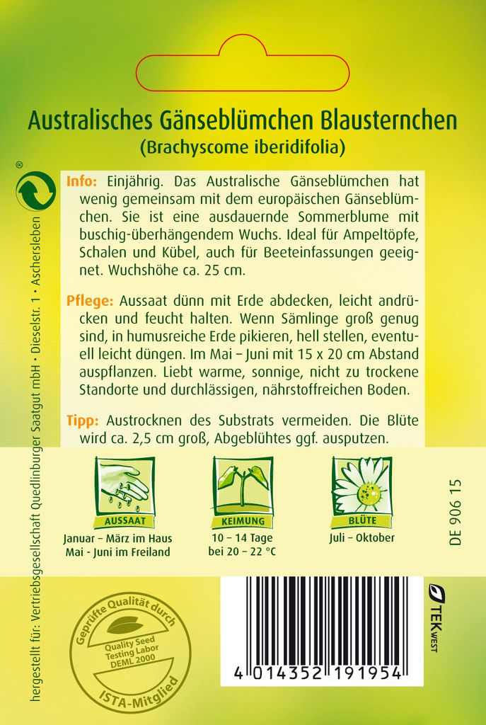 Australisches Gänseblümchen, Blausternchen Produktbild 