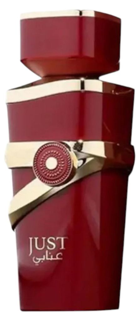 Fragrance World Just Anabi Eau de Parfum 100ml Produktbild 