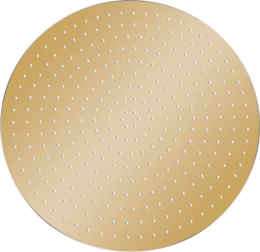 A round, golden showerhead with many small holes is shown against a white background.
