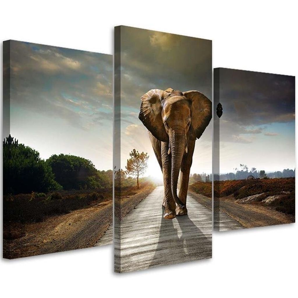 Triptychon auf leinwand wandernder elefant auf der straße 120x80 cm Feeby braun wandbild bereit zum aufhängen