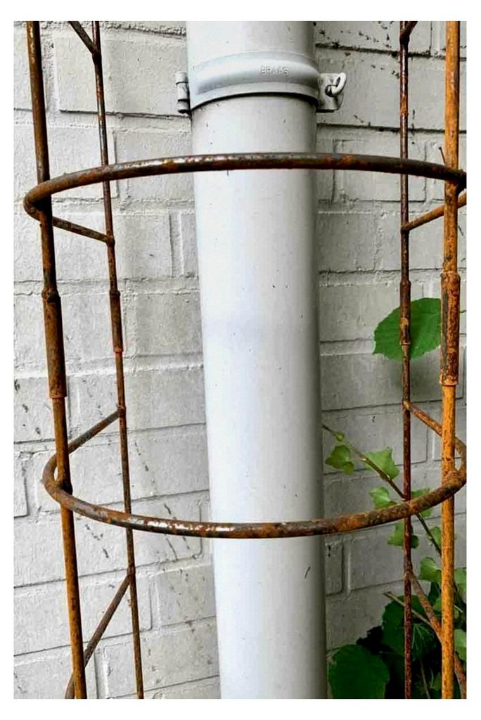 Steckzaun Rankgitter aus Metall für Fallrohr, Höhe: 193 cm, Breite: 30 cm