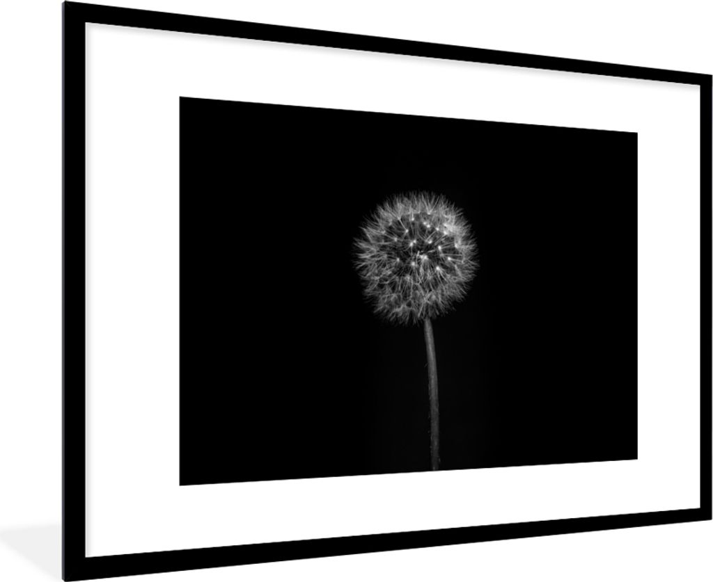 MuchoWow Gerahmtes Poster Löwenzahn - Schwarz - Floral - Botanisch 90x60 cm - Poster mit Schwarzem Bilderrahmen Wandposter Rahmen Foto Bilder - ...