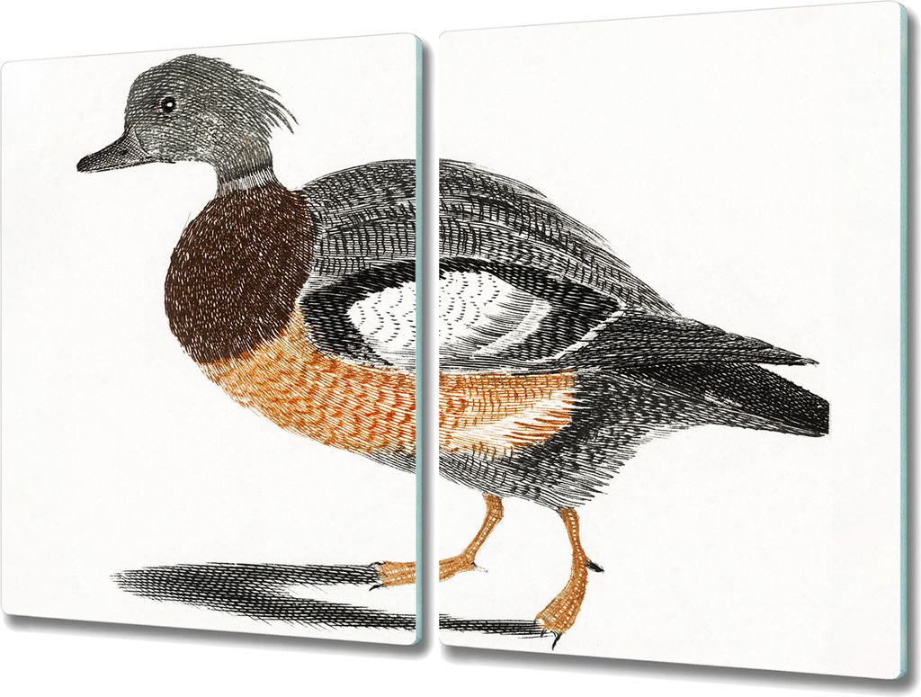 Coloray Küchenbrett Kochplattenabdeckung Hackbrett Schneidebrett Herdabdeckplatte 2x40x52 cm - Tier Vogel