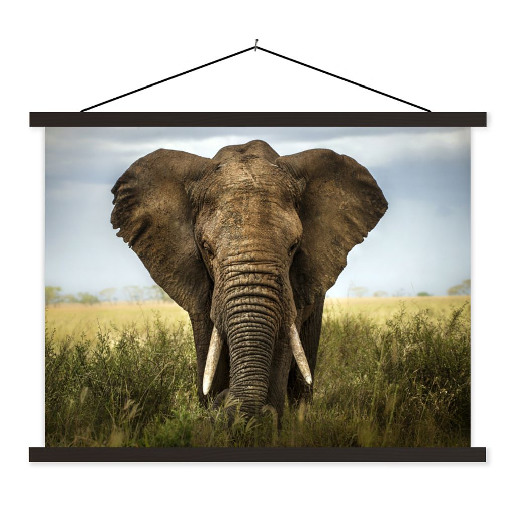 MuchoWow Textilposter Elefant - Natur - Gras - Tiere - Landschaft 120x90 cm mit schwarzem Rahmen - Aufhänger für Poster