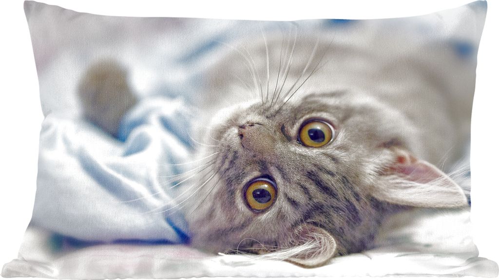 MuchoWow Zierkissen Sofakissen Wohnzimmer Dekokissen 50x30 cm Katze - Tier - Makro - Wohnzimmerdekoration - Polster mit Photo