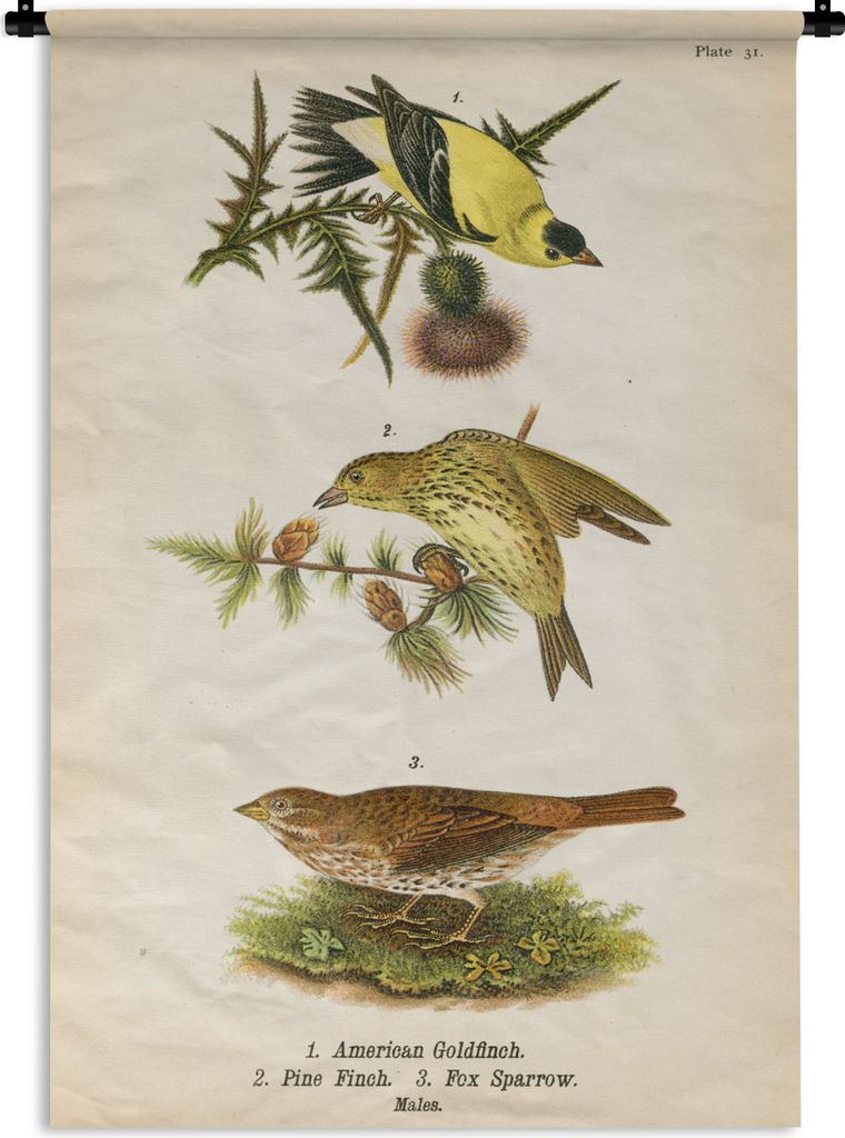 MuchoWow Wandteppich Wandbehang Antiker Vogeldruck 90x135 cm Tapisserie Dekoration Wandtuch - Baumwolle - Wandskulptur