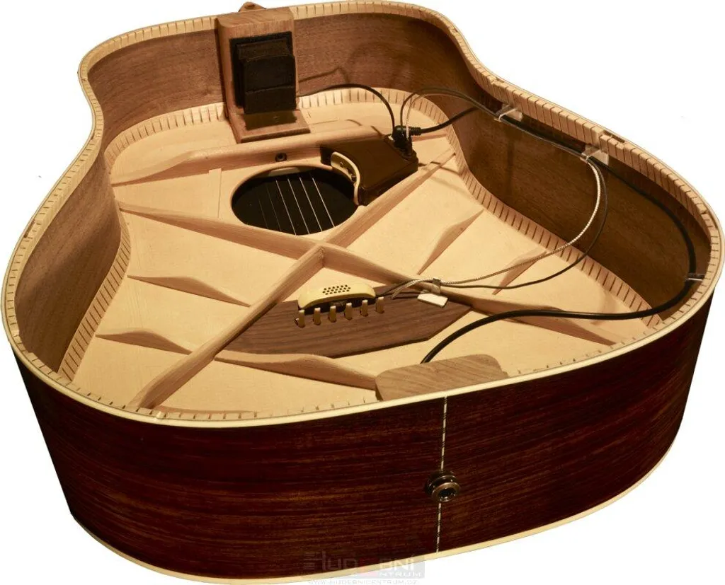 L.R. Baggs Anthem-SL Micro pour Guitare - Solution Idéale Scène et Studio - 4