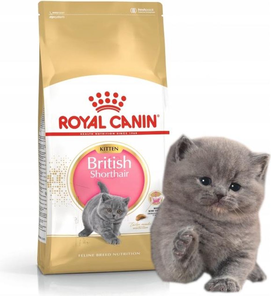 ROYAL CANIN British Shorthair Kitten - trockenfutter für Katzen - 400g