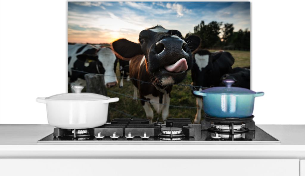 KitchenYeah Spritzschutz Küche - Küchenrückwand - Wandschutz für Herd und Spüle - Kuh - Tier - Nahaufnahme 70x50 - Alu-Dibond (Alternative ...