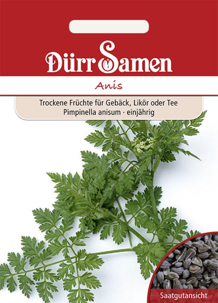 Dürr-Samen - Anis - Saatgut - 0171 Produktbild 
