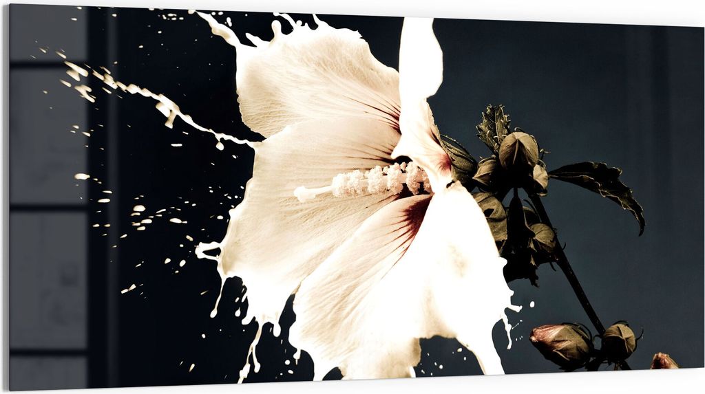 DEQORI Glasbild Echtglas 100x50 cm 'Milchige Blüte' Wandbild Bild modern Deko