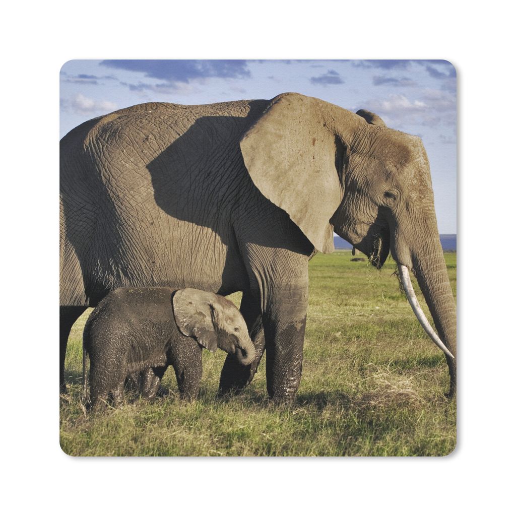 MuchoWow Mauspad Mousepad Elefant - Tiere - Grasland - Grün - Grau 20x20 cm - Mousepads - Maus Mat - Pad - Mausunterlage - Desk Mat - Bureauarti...