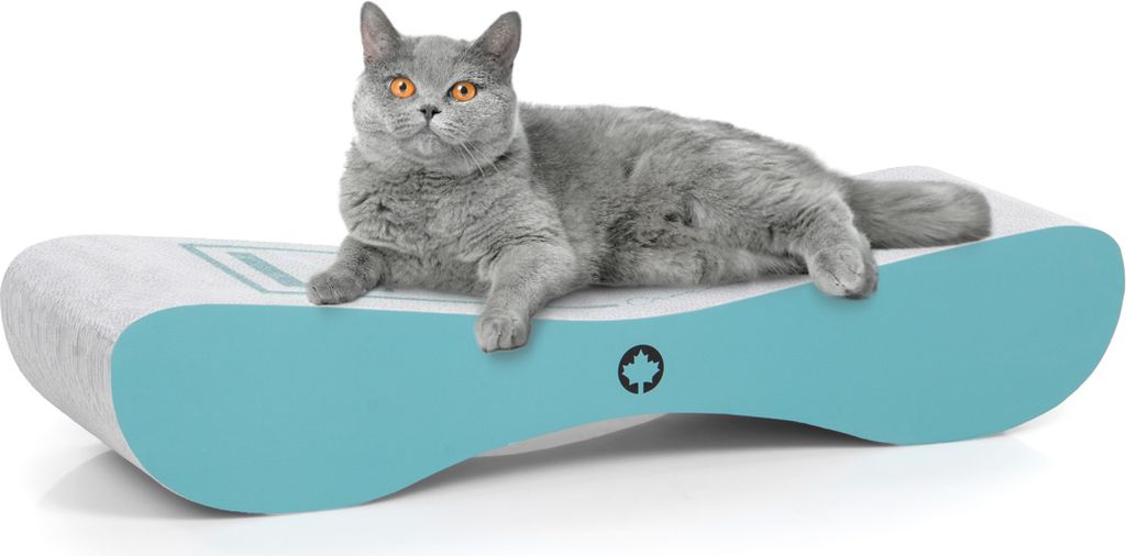 Drapak Satellite 2.0 | Katzenkratzbaum LOVE | Canadian Cat | Türkis