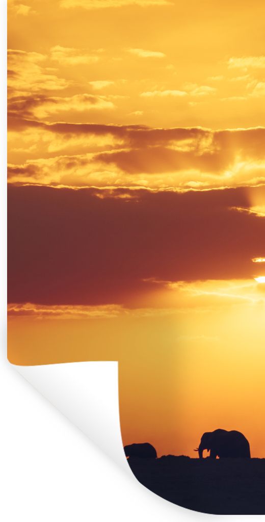 MuchoWow Wandtattoo Wandsticker Wandaufkleber Elefanten - Horizont - Sonnenuntergang - Tiere 60x120 cm Selbstklebend und Repositionierbar - Selbs...