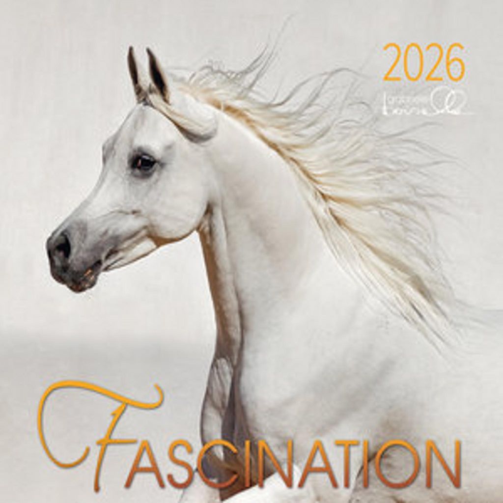 Gabriele Boiselle Kalender Fascination Arabische Pferde Produktbild 