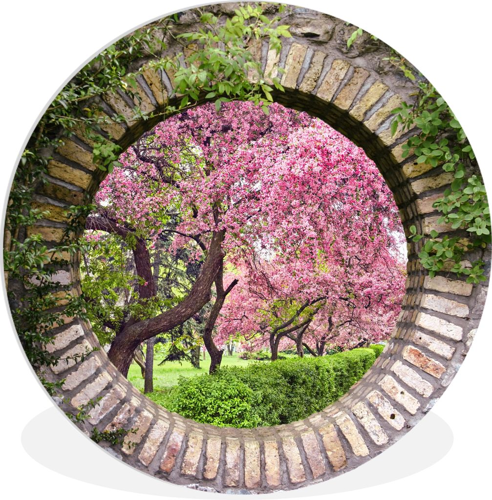 MuchoWow Rundes Wandbild - Runde Bilder Transparent - Sakura - Blüte - Japanisch Ø 60 cm Kreis Wanddekoration Kunststoff - Wandkreis - Wandschm...