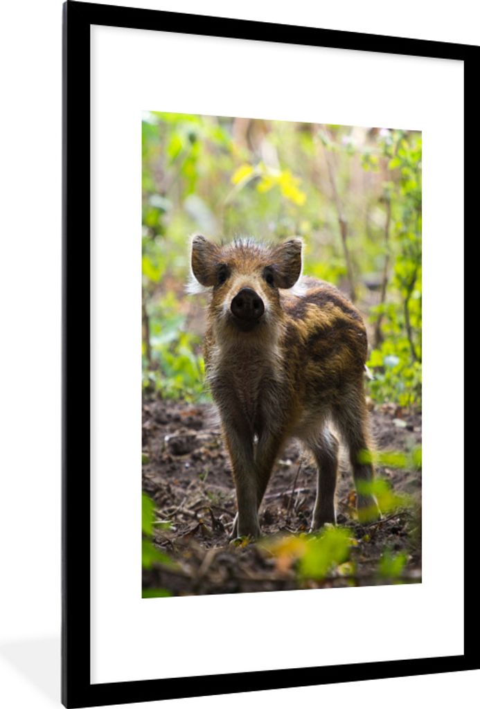 MuchoWow® MuchoWow® Gerahmtes Poster Wildschwein - Wald - Produktbild 