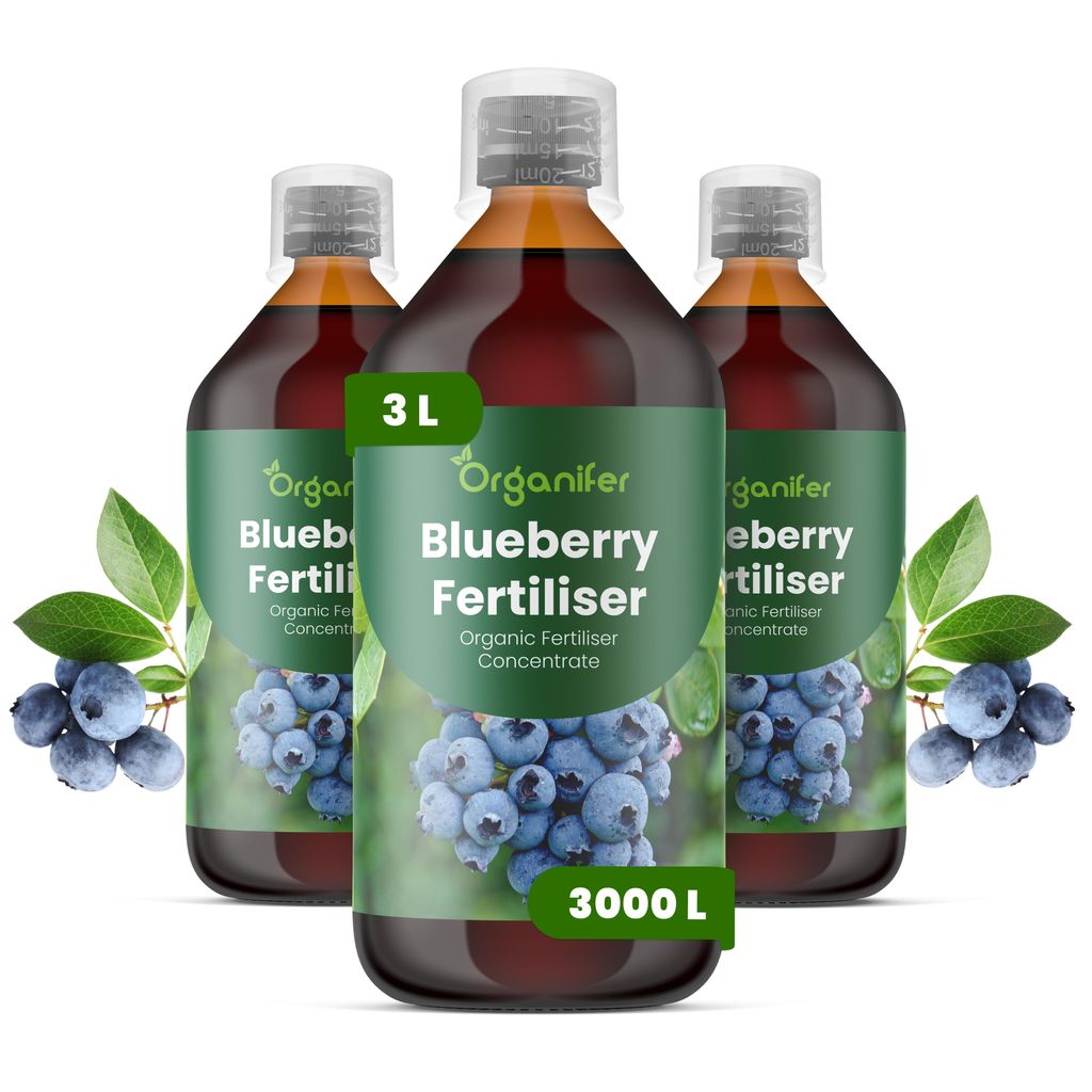 Blaubeerdünger Flüssig 3x1L – 2-1-8 NPK – Flüssigdünger Für Produktbild 