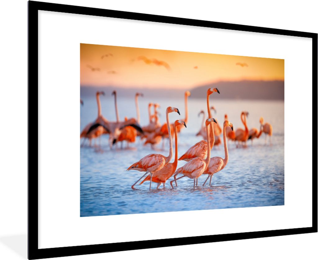 MuchoWow Gerahmtes Poster Flamingo - Tiere - Wasser - Rosa 90x60 cm - Poster mit Schwarzem Bilderrahmen Wandposter Rahmen Foto Bilder - Wanddekor...