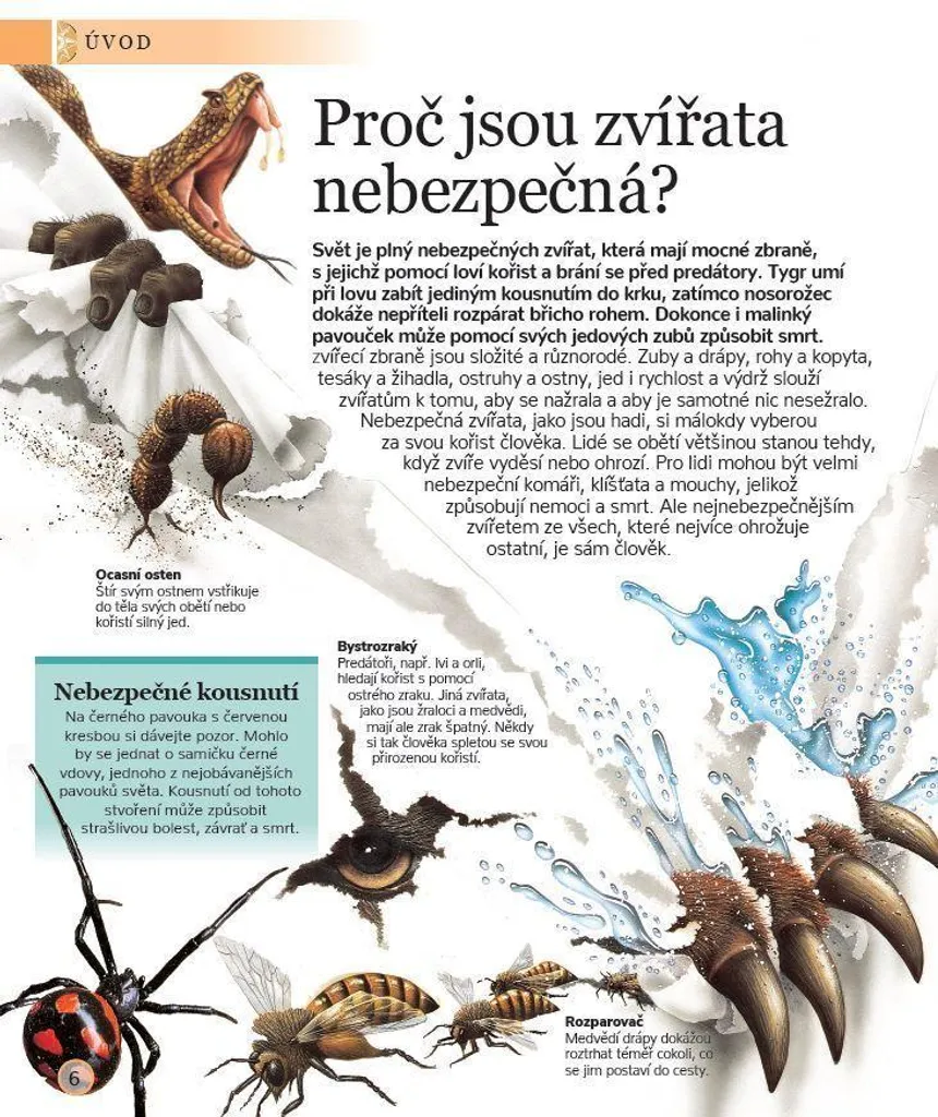 Nebezpečná zvířata : Album Relié sur les Animaux les Plus Dangereux