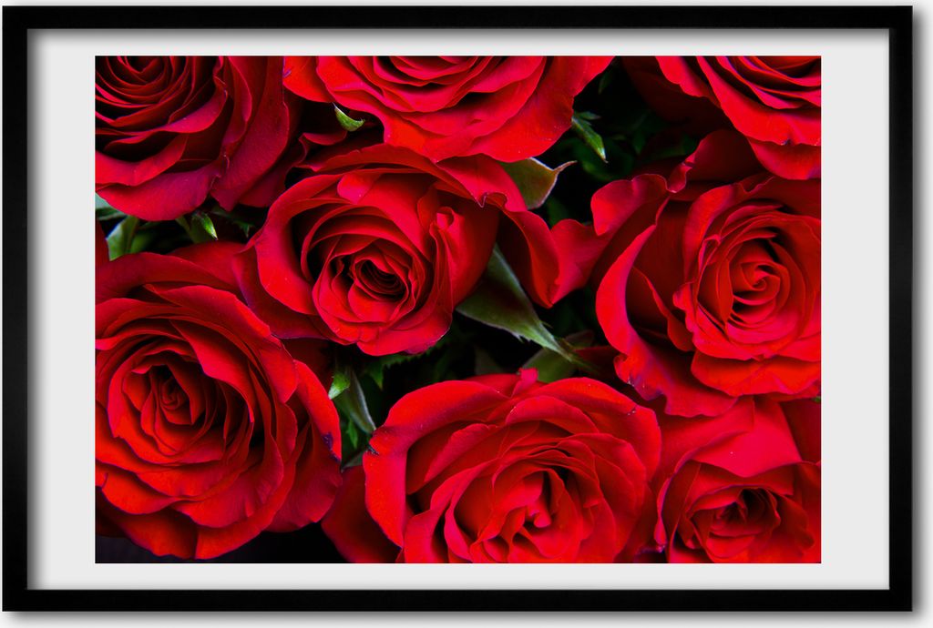 Bild 60x40 MDF-Rahmen, Wandkunst rote Rosen