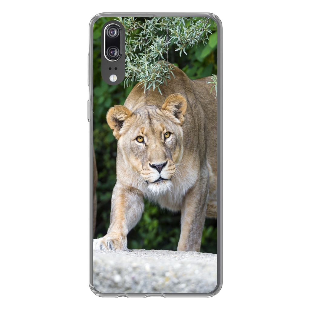 MuchoWow Handyhülle Schutzhülle Hülle für Huawei P20 Löwinnen - Wilde Tiere - Jagd Silikon Softcase Handy Hülle - Hardcover