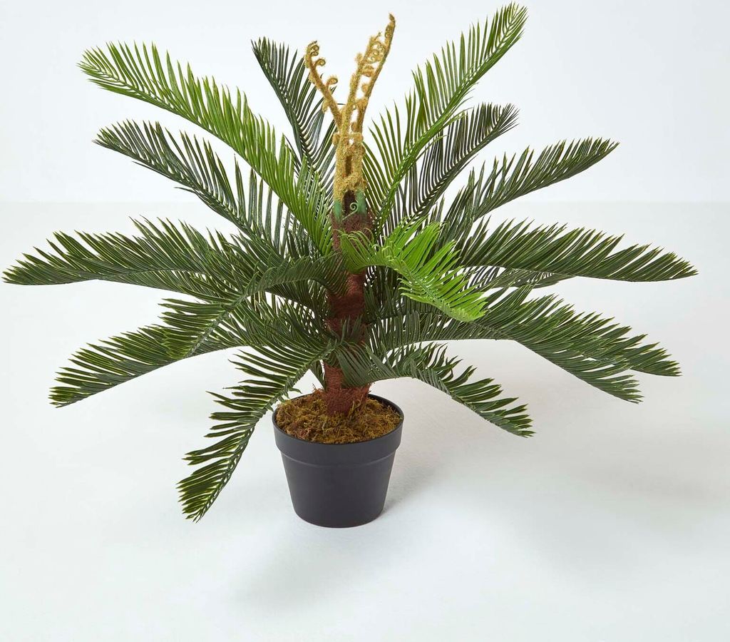 HOMESCAPES Umělá rostlina Zelená 'Palm Ferns' Cycadales Obrázek produktu 