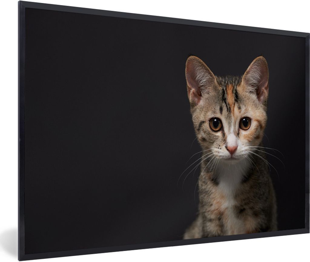 MuchoWow Gerahmtes Poster Katze - Schwarz - Porträt 90x60 cm - Poster mit Schwarzem Bilderrahmen Wandposter Rahmen Foto Bilder - Fotorahmen - Fo...