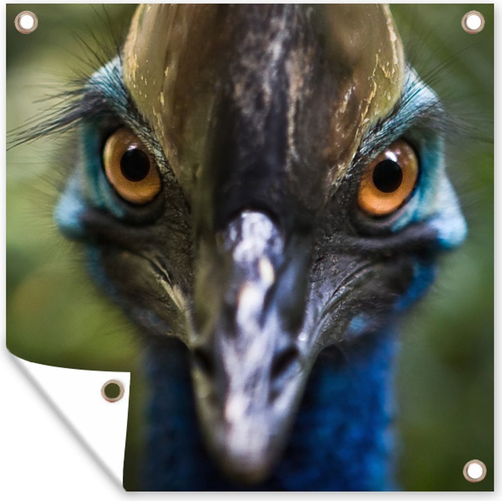 MuchoWow 50x50 cm Outdoor-Poster Gartendeko Sichtschutz Garten Poster für den Garten Nahaufnahme eines Kasuars