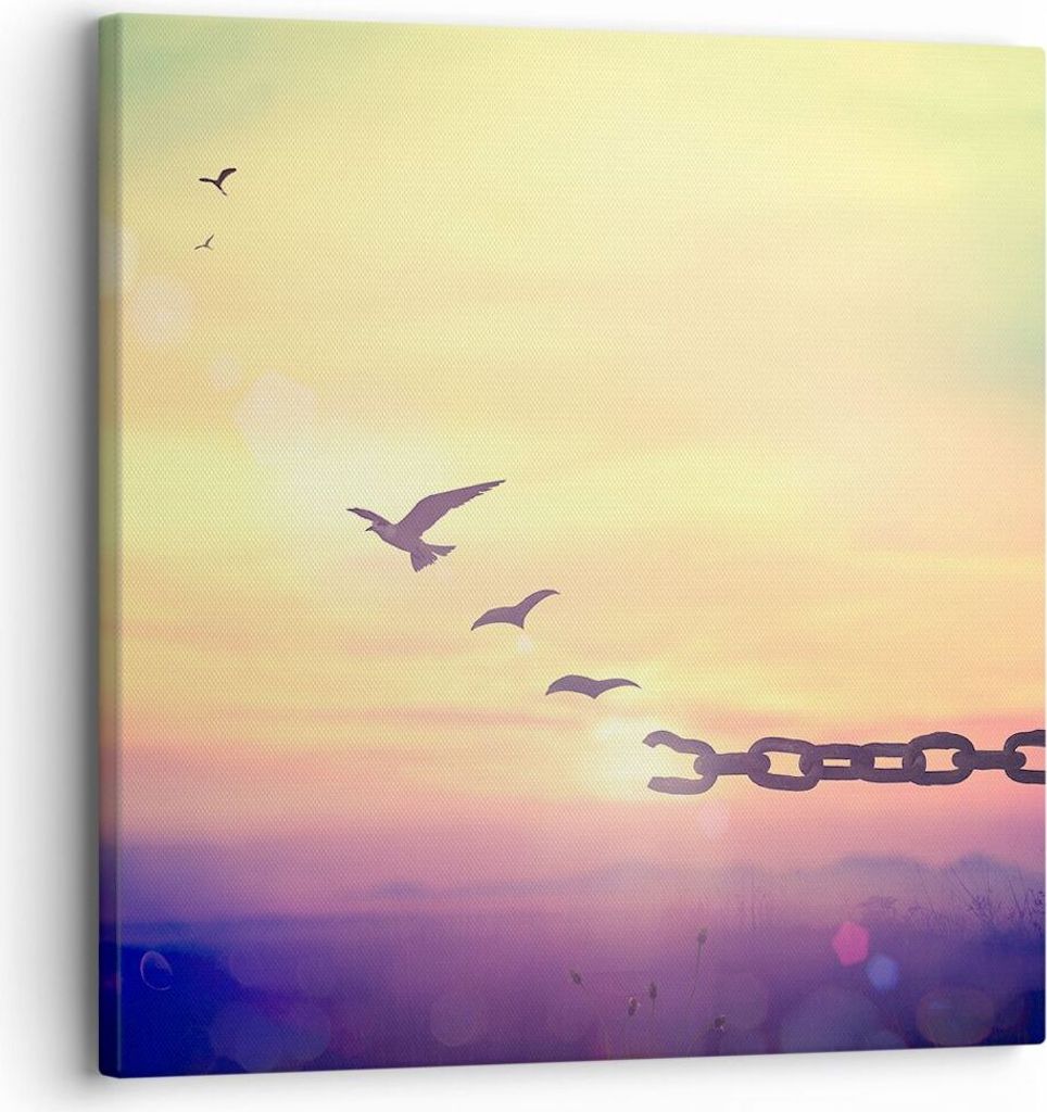 Bild auf Leinwand - Leinwandbild - Vogel Natur Wiese - 30x30cm - Wand Bild - Wanddeko - Wandbilder - Leinwanddruck - Bilder - Kunstdruck - Wanddeko...
