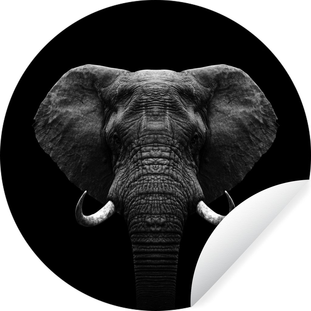 MuchoWow Runde Wandtattoo - Wandsticker Tapete Aufkleber Tiere - Elefant - Porträt - Schwarz - Weiß Ø 50 cm Selbstklebend und Repositionierbar...
