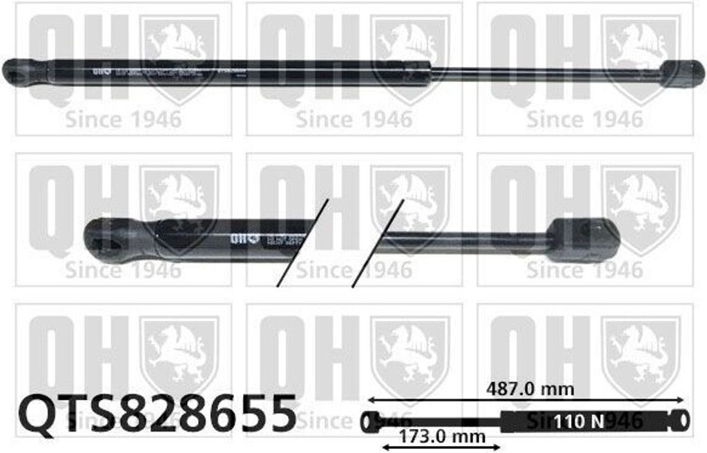 QUINTON HAZELL QTS828655 Gasfeder Heckklappendämpfer für VW Jetta IV (162, 163, AV3, AV2) 487mm